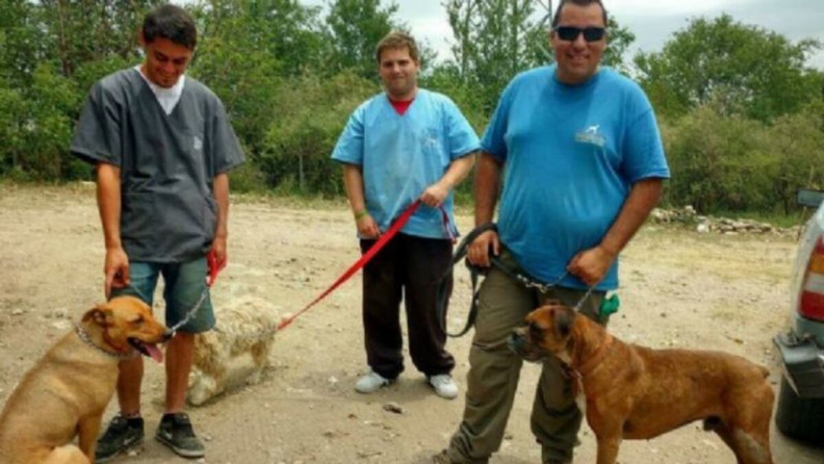 Perros rescatados entrenados para ser adoptados\u002E