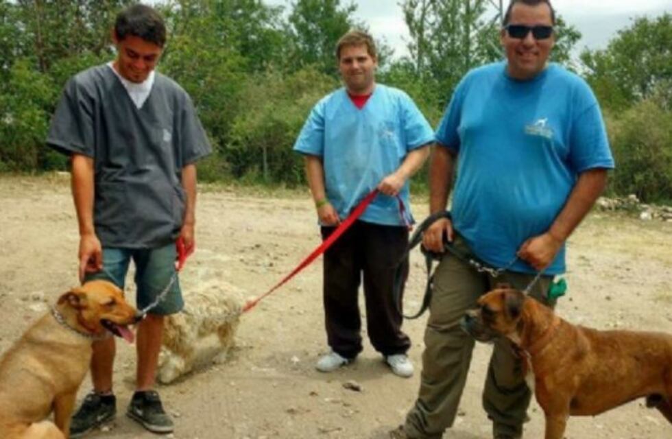 En Carlos Paz entrenan perros abandonados para que puedan encontrar un hogar