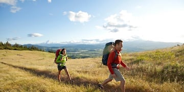 ¿Sos de los que evitan salir de vacaciones?