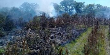 Nuevamente hubo incendios de malezas en Oberá y San Martín