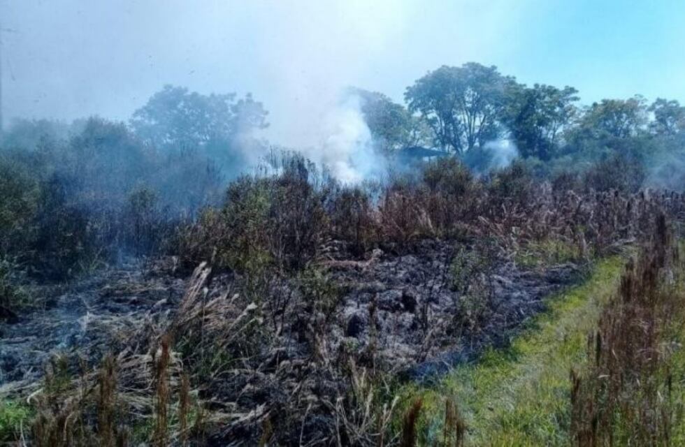 Nuevamente hubo incendios de malezas en Oberá y San Martín