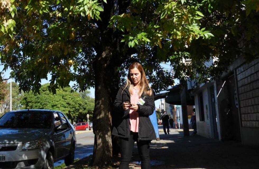 Punta Alta: avanza el Censo Forestal