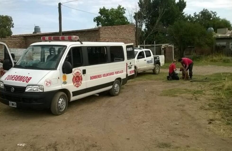 El k9 de Punta Alta busca al bahiense desaparecido