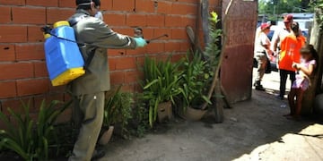 El director provincial de Epidemiología aseguró que todavía no hay circulación del virus del dengue en la provincia\u002E