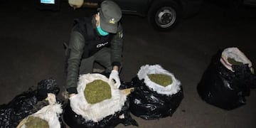 Marihuana secuestrada por Gendarmería Nacional en Posadas\u002E (Gendarmería)