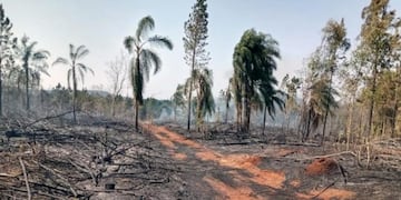 Controlaron un incendio en Roca Chica