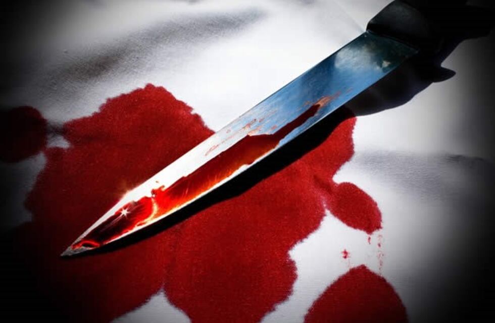 Una joven de 21 años le cortó la aorta a su pareja