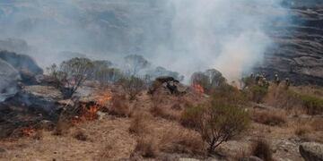 Los bomberos de Cosquín se toparon con un \