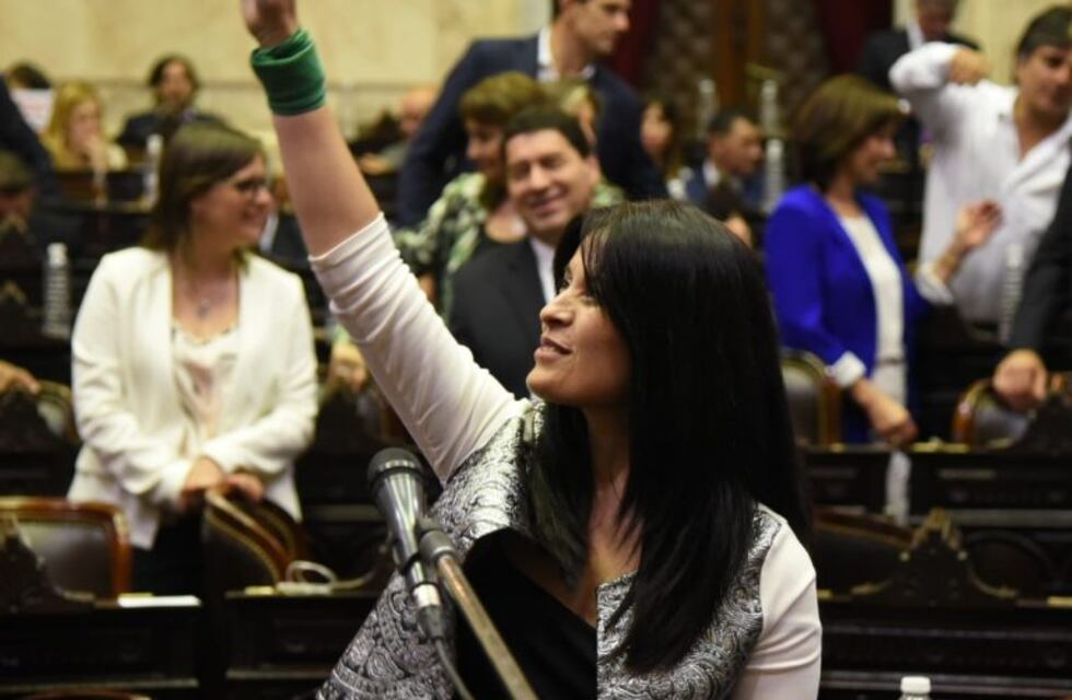 Una diputada juró por el Che, Evita y el aborto