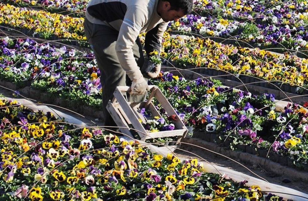 La Merced: este sábado habrá una feria de Comidas de Vigilia y Expo Vivero