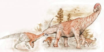 Descubren nuevas especies de dinosaurios en Santa Cruz