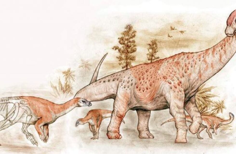 Descubren nuevas especies de dinosaurios en Santa Cruz