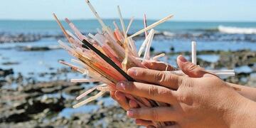 Día sin Descartables en Mar del Plata