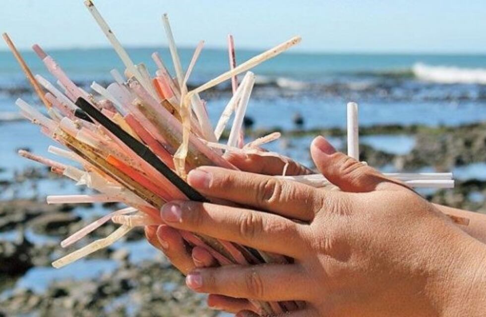 Viernes "sin descartables" en Mar del Plata