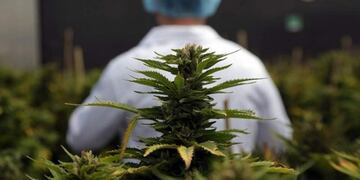 Imagen ilustrativa\u002E