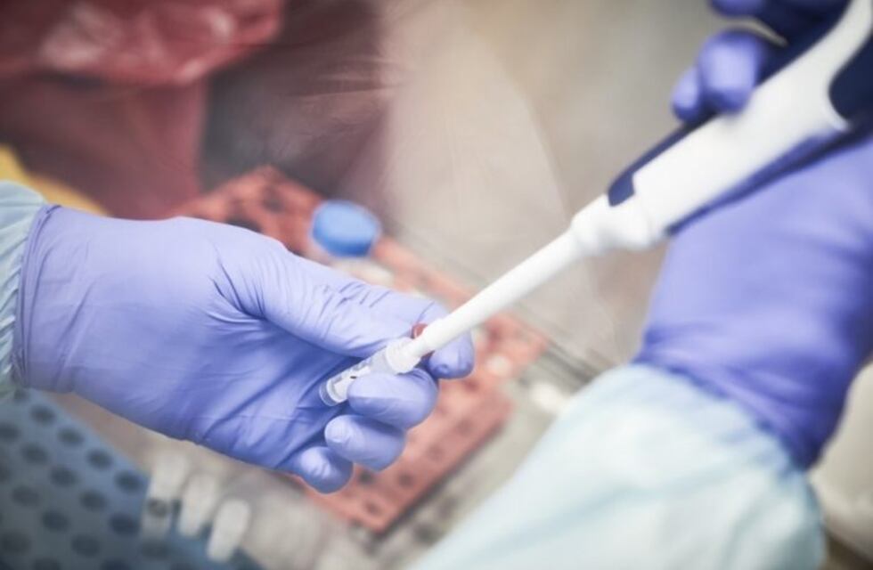 Coronavirus: Mendoza sale a comprar reactivos