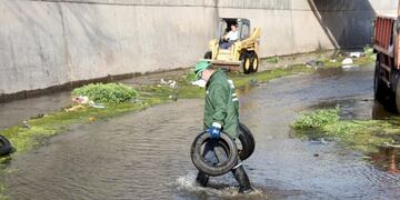 Mugre en La Cañada\u002E