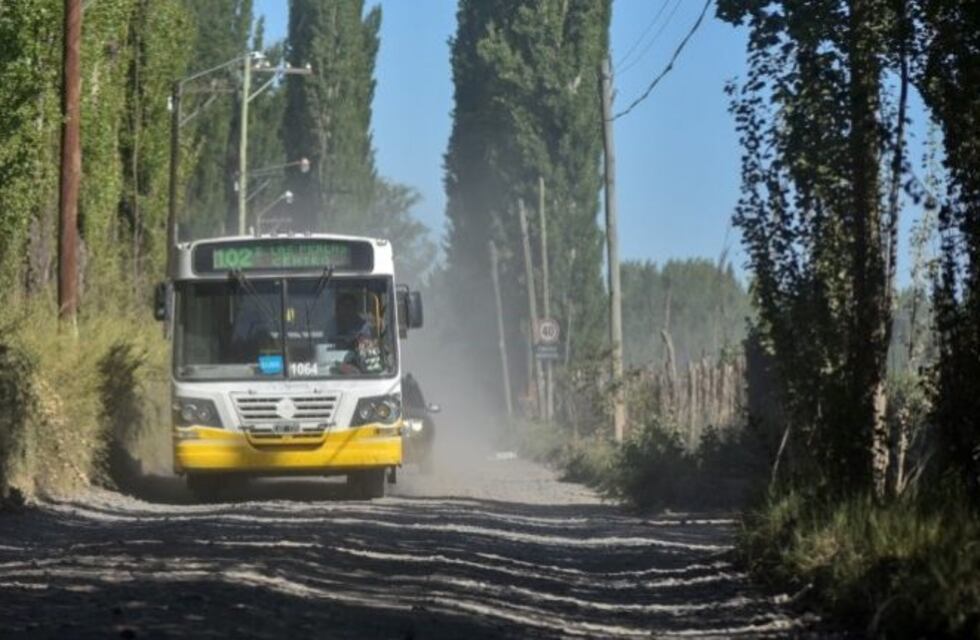 La empresa asegura que el chofer suspendido tenía 35 faltas acumuladas