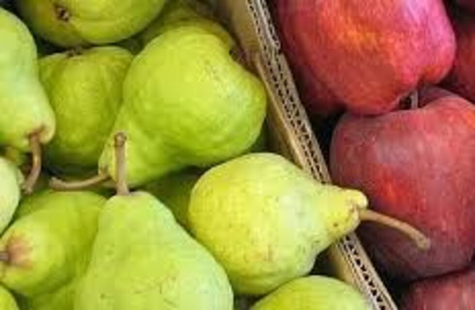 El Gobierno de Río Negro propone la quita total de Ingresos Brutos para la fruticultura