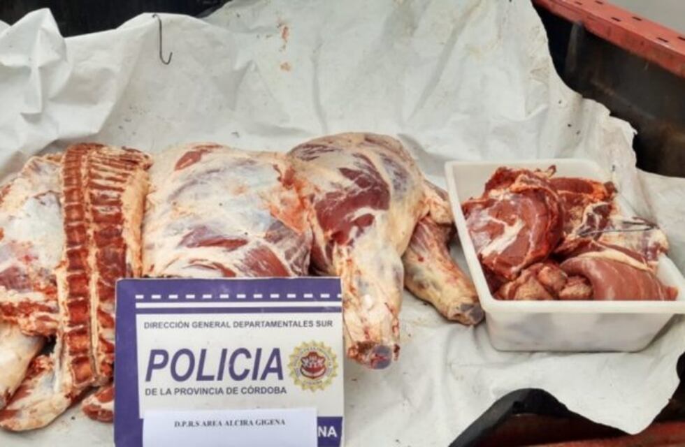 Alcira Gigena: llevaban un novillo carneado, en la pickup