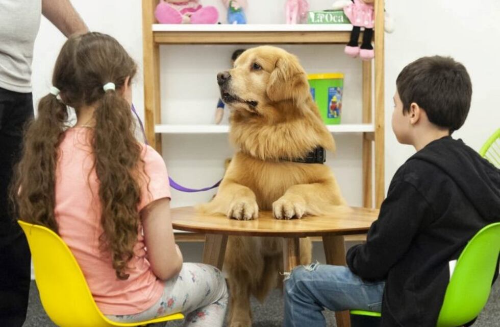 La Justicia Porteña ordenó que un perro acompañe a declarar a los menores de edad