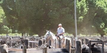 Implementaron la guía digital para el traslado de hacienda.