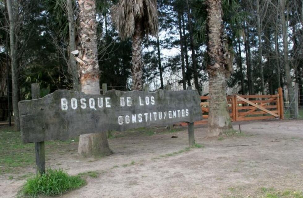 Realizarán avistaje de aves y reconocimiento de árboles en el Bosque de los Constituyentes