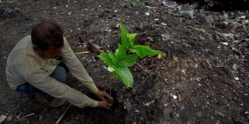 Día Mundial del Medio Ambiente\u002E (Foto: imagen ilustrativa / web)\u002E