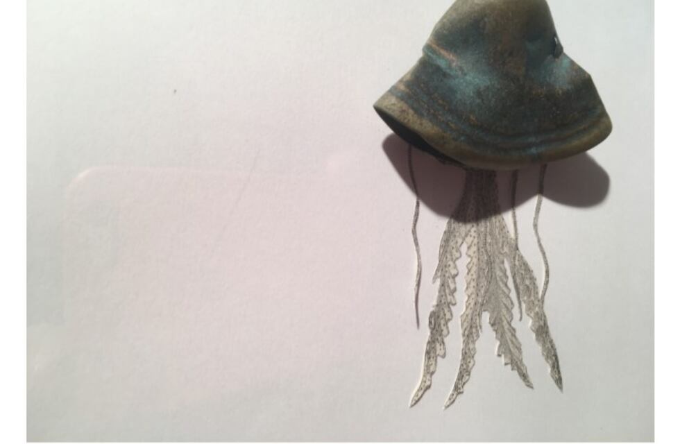 El Museo Oceanográfico de Madryn será sede de una muestra de arte y ciencia