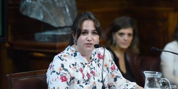 Ana Almirón fue electa para presidir una comisión en el Senado de la Nación\u002E