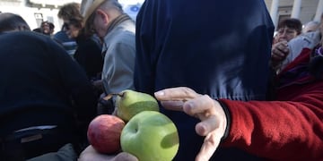 Creció 6,5% la exportación de peras y manzanas
