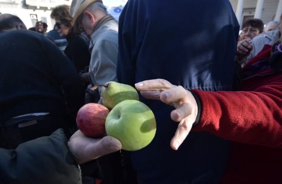 Productores rionegrinos donan 50 toneladas de fruta para comedores del AMBA