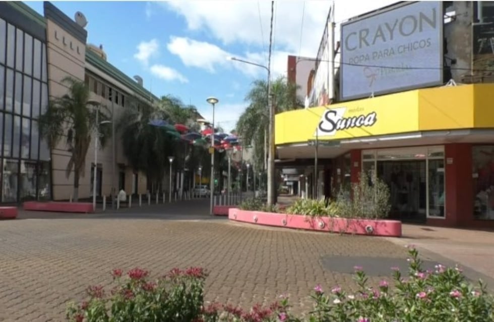 Advierten que el 88% de la actividad económica de Misiones está frenada y 91% de las empresas no accedieron a los créditos nacionales