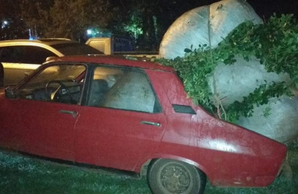 Fueron detenidos mientras trasladaban hoja de yerba mate robada