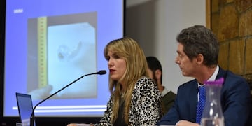 Betiana Cendón, fiscal del caso (Foto: Río Negro)\u002E