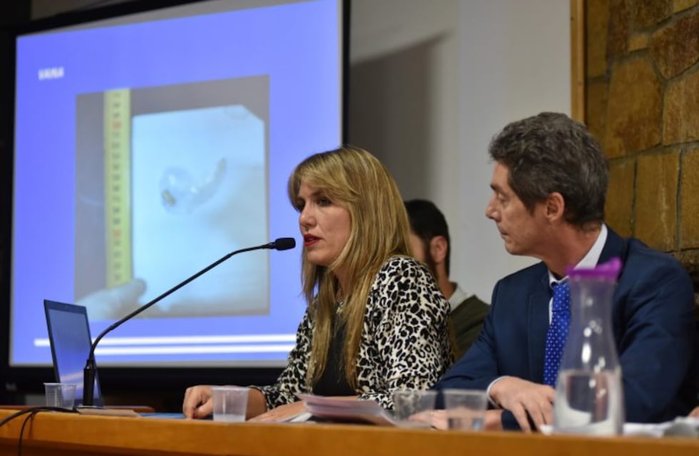 Caso Coppa: una psiquiatra forense destacó que Cordi ''programó el acto''