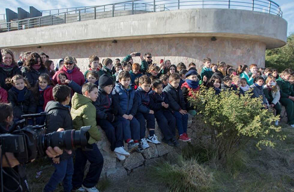 Por el Día Mundial del Medio Ambiente forestaron y liberaron aves