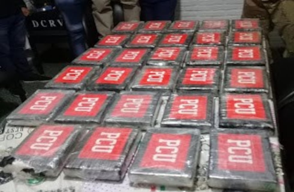 Un peón rural encontró casi 32 kilos de cocaína mientras juntaba los animales