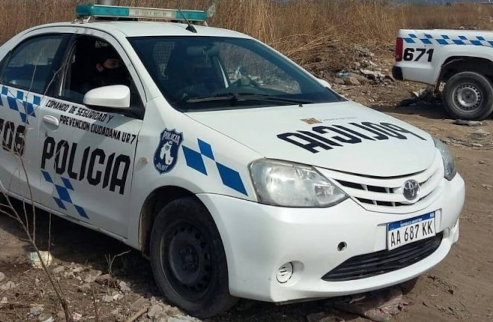 Un furioso enjambre de abejas mató a un trabajador rural en Juella