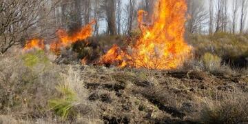 Quisieron hacer limpieza de maleza y quemaron 5 hectáreas