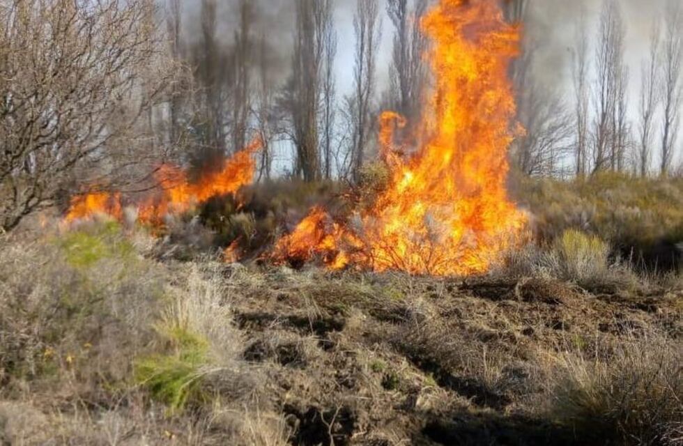 Quisieron hacer limpieza de maleza y quemaron 5 hectáreas