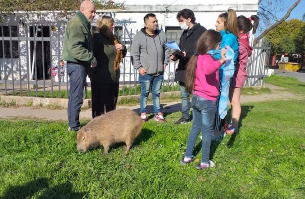Barrio santafesino se alzó en defensa de "Pancho", el carpincho de una familia