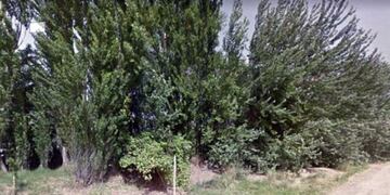 Un hombre violó y amenazó de muerte a su amiga luego de citarla en una plaza en Neuquén