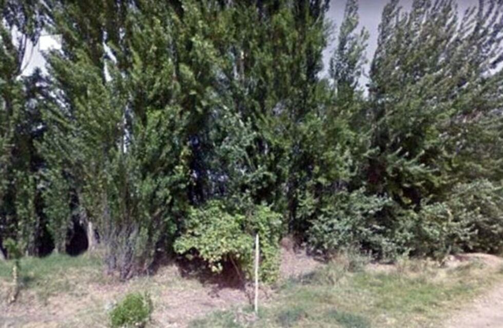 Un hombre violó y amenazó de muerte a su amiga luego de citarla en una plaza en Neuquén