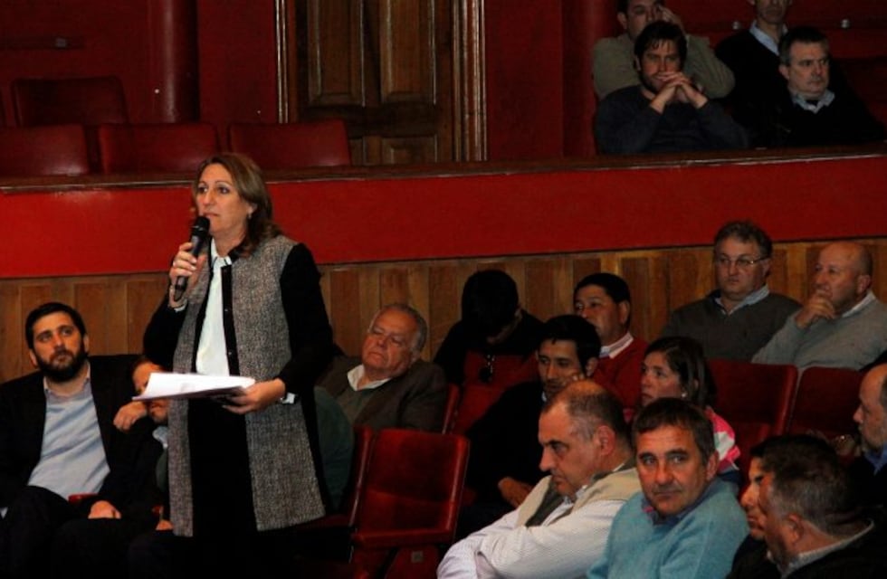 Fein sostuvo que "los recortes a los municipios ponen en riesgo la gobernabilidad"