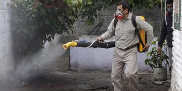 Tucumán superó los 13 mil casos de dengue