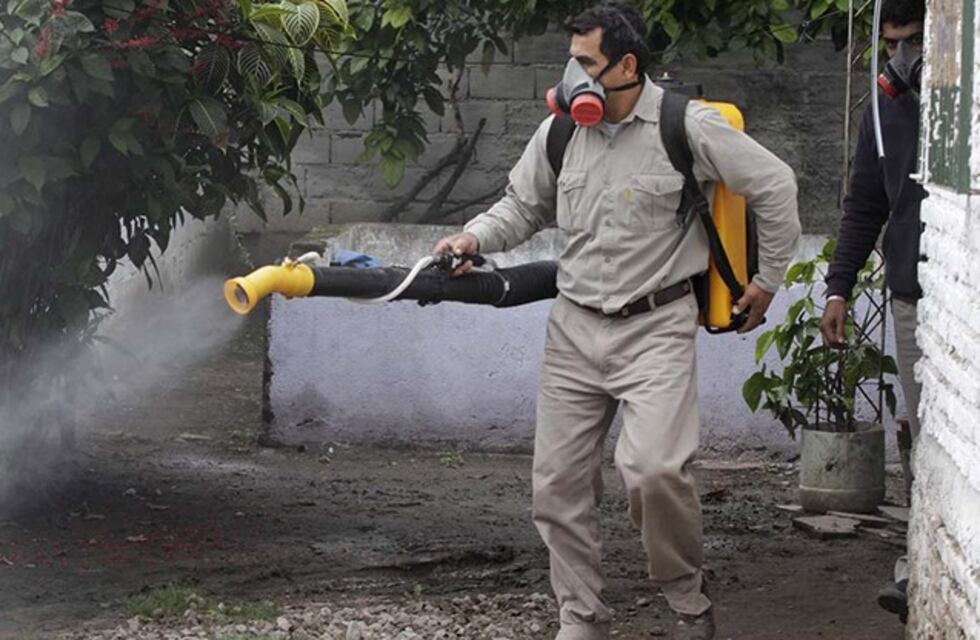 Dengue: 761 casos confirmados en Tucumán