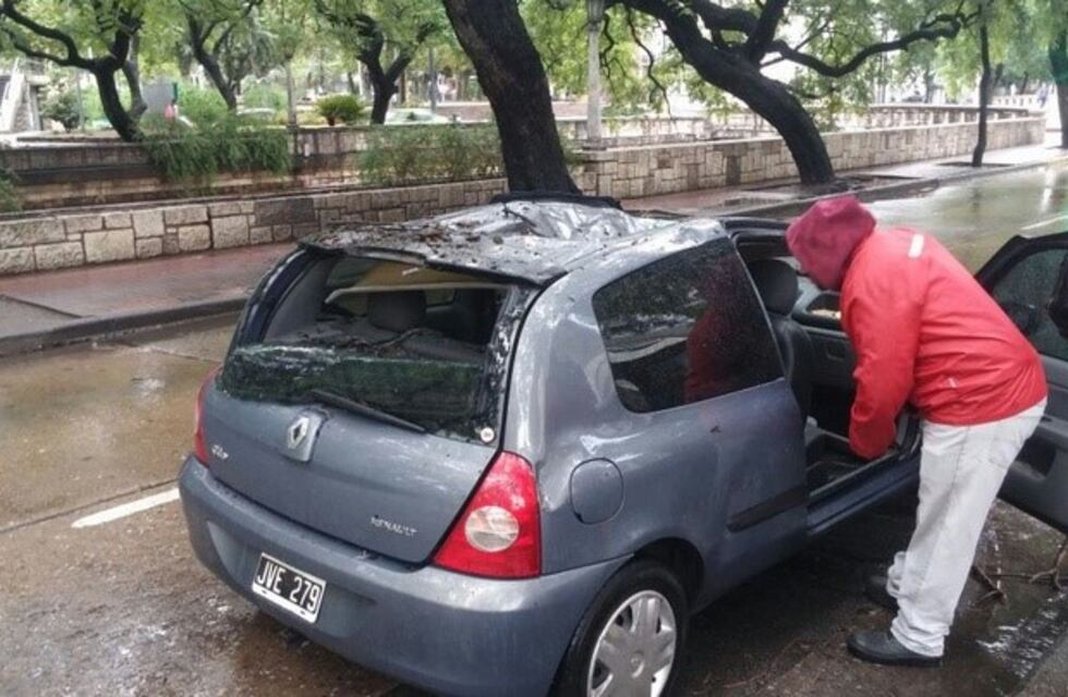 Un árbol cayó y aplastó un auto en pleno centro