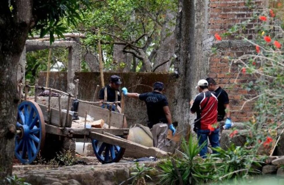 Encontraron el cuerpo descuartizado de un bebé en una finca de Rivadavia