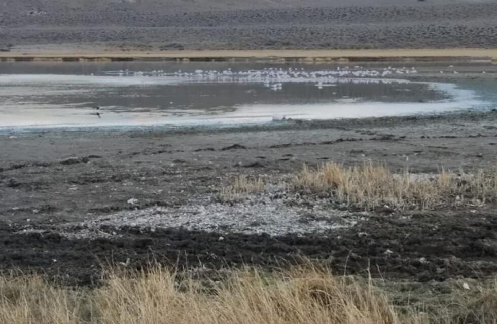 Perito Moreno: Servicios Públicos estaría contaminando reserva ecológica